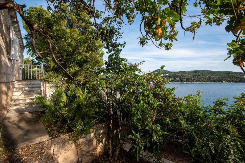 Villa Diamond Sea - Vacation House With Private Parking And A Big Terrace Over The Sea Dubrovnik Exterior foto